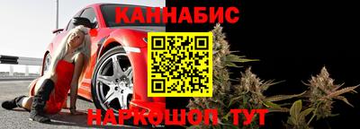 крисы Камышлов
