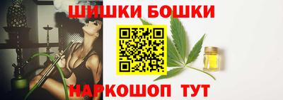 крисы Камышлов