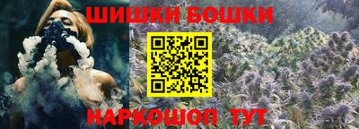 крисы Камышлов