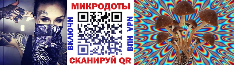 нарко площадка состав  купить наркоту  Новошахтинск  Псилоцибиновые грибы GOLDEN TEACHER 