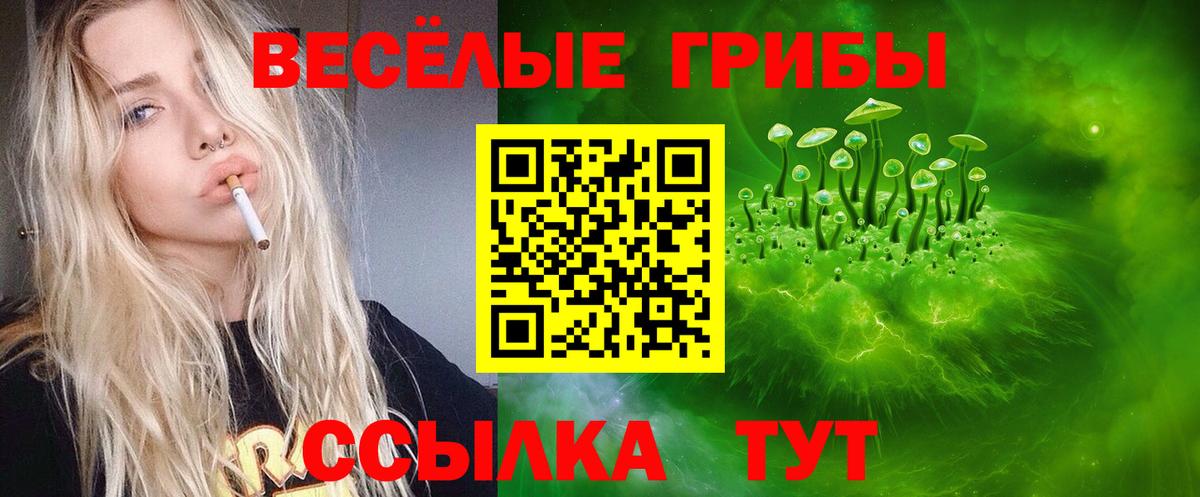 Галлюциногенные грибы прущие грибы  Псилоцибиновые грибы GOLDEN TEACHER  Новошахтинск  Вход с VPN 