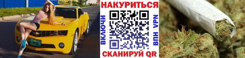 наркота  Новошахтинск  Шишки марихуана конопля 