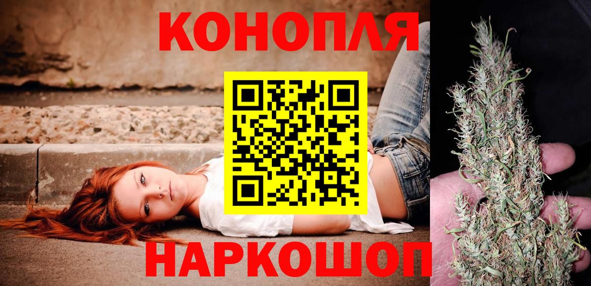 МЕФ Новошахтинск